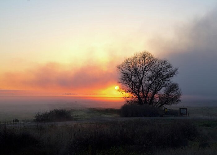 California Greeting Card featuring the photograph Tule Fog Sunrise by Cheryl Strahl