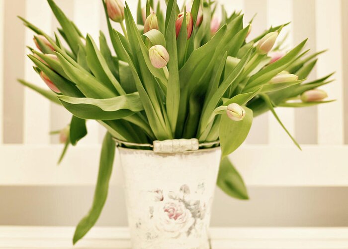 Bucket Greeting Card featuring the photograph Tulips In Bucket by Andrea Kamal
