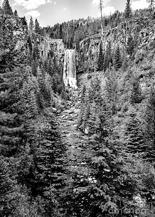 Tumalo Falls Greeting Card featuring the photograph Tumalo Falls, Black and White, Wall Art Canvas, Home Decor, Home Decorators Collection, Wall Art Pri by David Millenheft