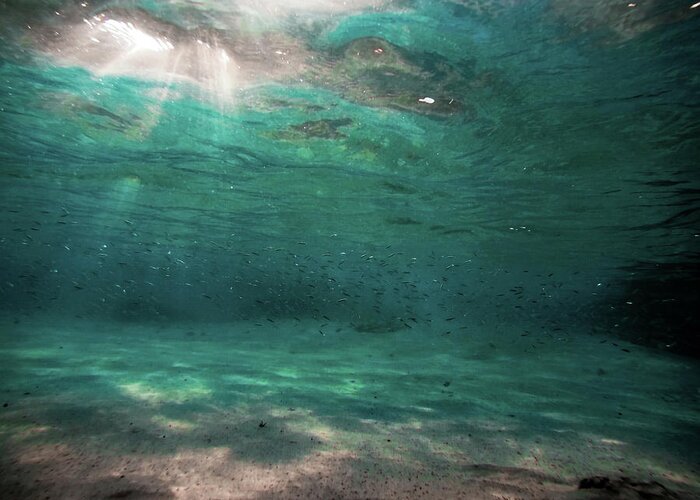 Turquoise. Underwater Greeting Card featuring the photograph Turquoise Sky by Meir Ezrachi