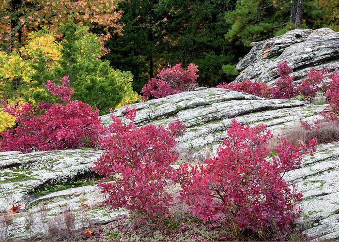 Petit Jean Greeting Card featuring the photograph Turtle Rocks by James Barber