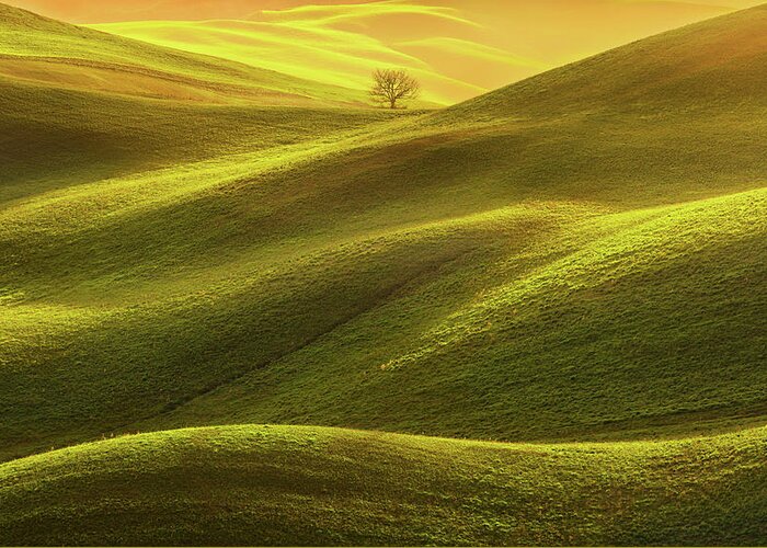 Tuscany Greeting Card featuring the photograph Lonely Tree in the Light by Stefano Orazzini