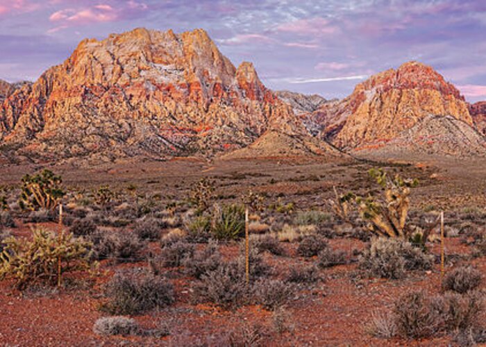 Red Rock Greeting Card featuring the photograph Twilight Panorama of Red Rock Canyon and Joshua Trees - Mojave Desert Las Vegas Nevada by Silvio Ligutti