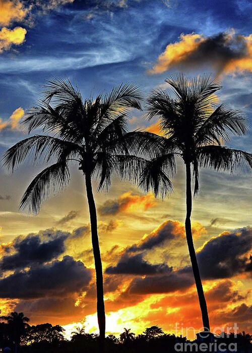Palm Trees Greeting Card featuring the photograph Twins by Thomas Schroeder