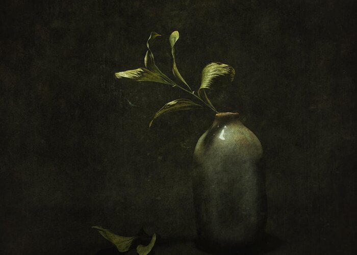 Vase Greeting Card featuring the photograph Under Harsh Light by �i�ek K?ral