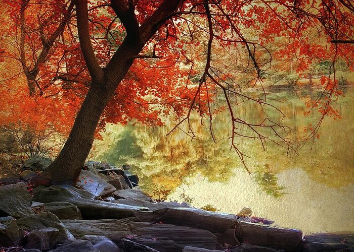 Autumn Greeting Card featuring the photograph Under the Maple by Jessica Jenney
