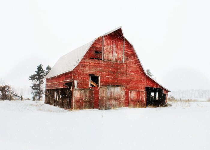 Barn Addict Greeting Card featuring the photograph Undignified Death by Julie Hamilton