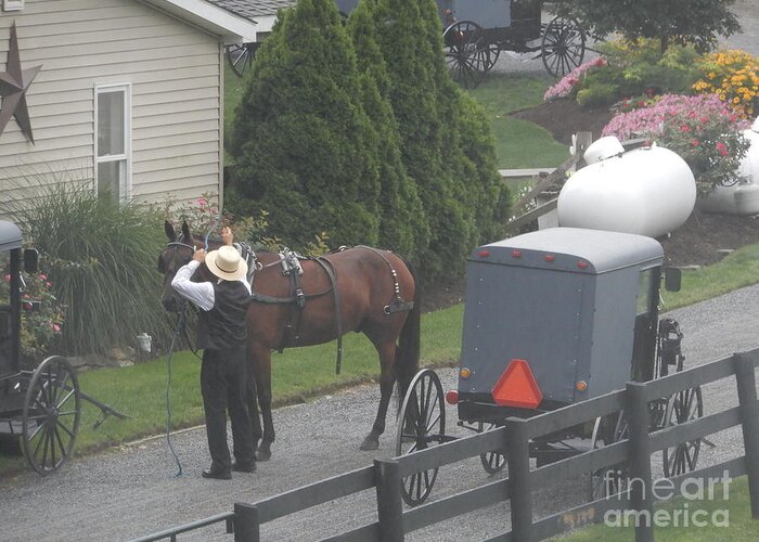 Amish Greeting Card featuring the photograph Unhitching the Horse on a Sunday by Christine Clark