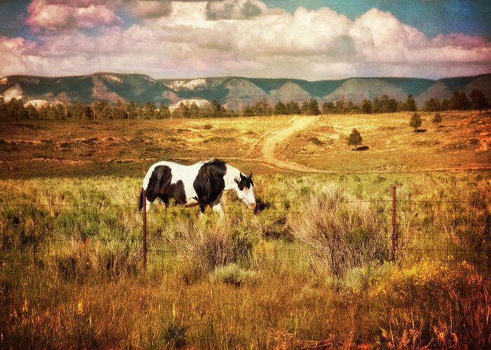 Utah Painted Pony Greeting Card featuring the photograph Utah Painted Pony by Tammy Wetzel