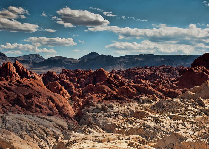 Rockscape Greeting Card featuring the photograph Valley of Fire Rugged Colors by Daniel Adams