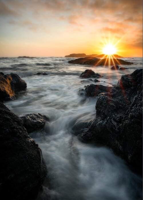 Tofino Greeting Card featuring the photograph Vancouver Island Sunset by Matt Hammerstein