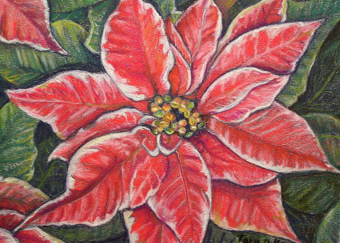 Variegated Greeting Card featuring the painting Variegated Poinsettia by Tara D Kemp