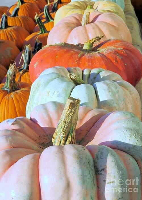 Pumpkins Greeting Card featuring the photograph Variety of Pumpkins by Janice Drew