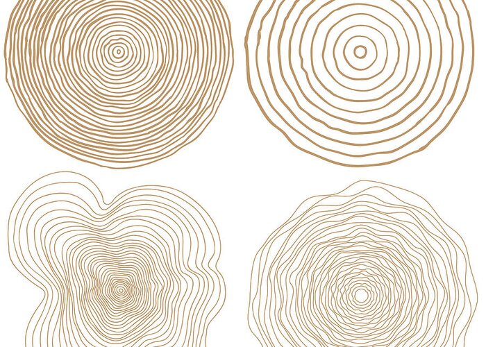 Dividing Greeting Card featuring the digital art Vector Tree Rings Background And Saw by Tigerstrawberry