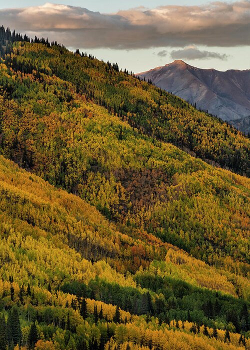 Colorado Greeting Card featuring the photograph Vertical View Two by Denise Bush