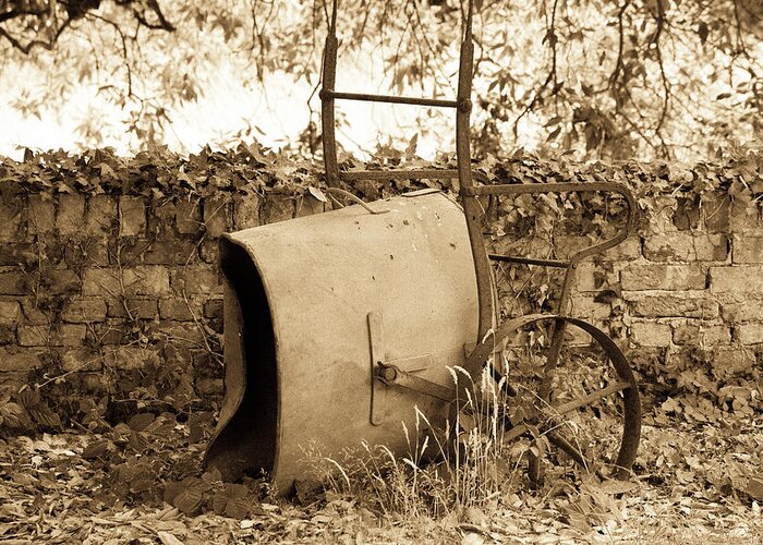 Vintage Greeting Card featuring the photograph Vintage Wheelbarrow by Tanya C Smith