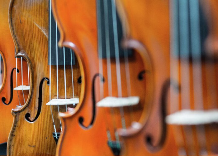 Music Greeting Card featuring the photograph Violins by Andy Clement - Andyc.com