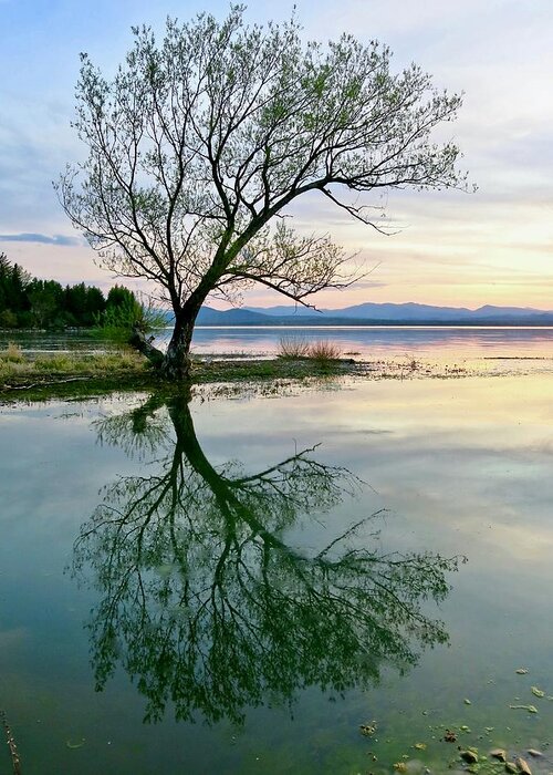 Lake Champlain Greeting Card featuring the photograph Visualizing Spring by Mike Reilly