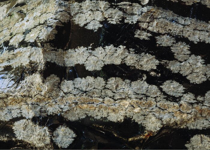 Mineral Greeting Card featuring the photograph Volcanic Rock by David Wasserman