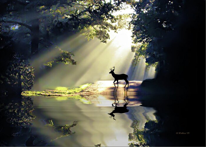 2d Greeting Card featuring the photograph Wake Up Deer by Brian Wallace