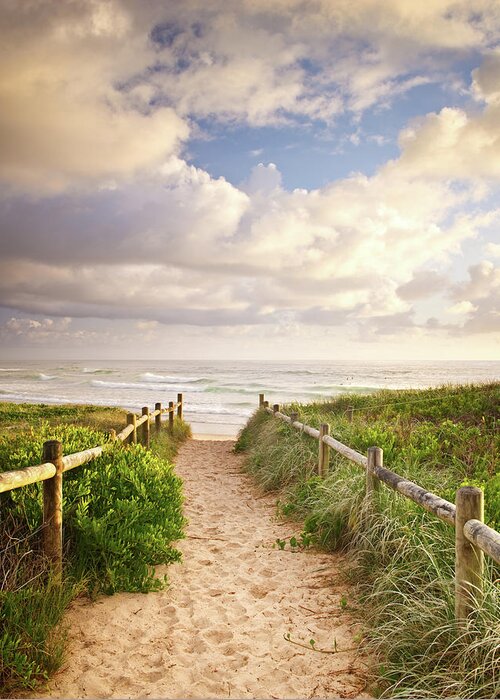 Water's Edge Greeting Card featuring the photograph Walkway To Beach by Turnervisual