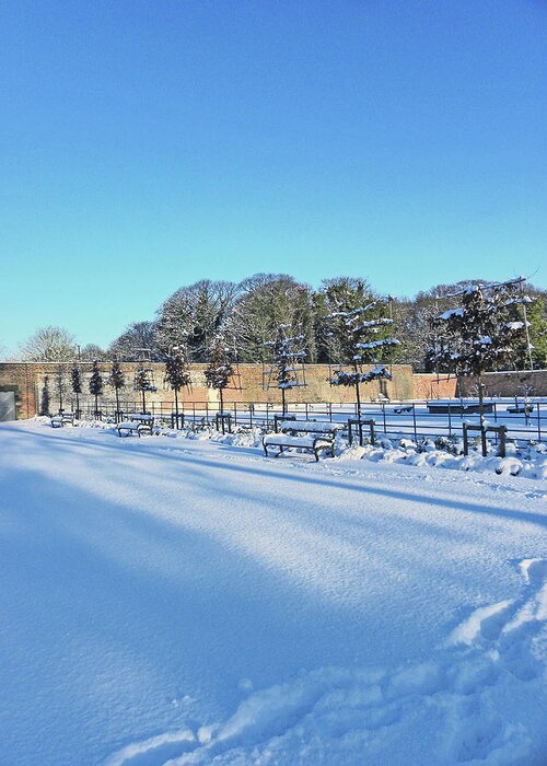Chorley Greeting Card featuring the photograph Walled Garden Winter Landscape by Lachlan Main