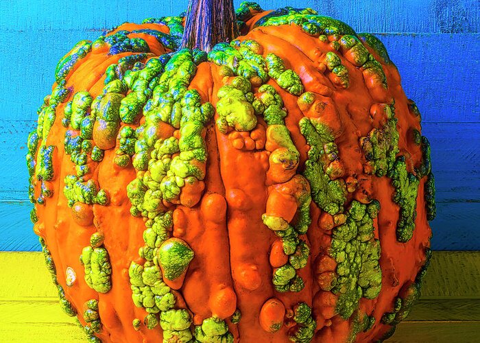 One Greeting Card featuring the photograph Warty Pumpkin by Garry Gay