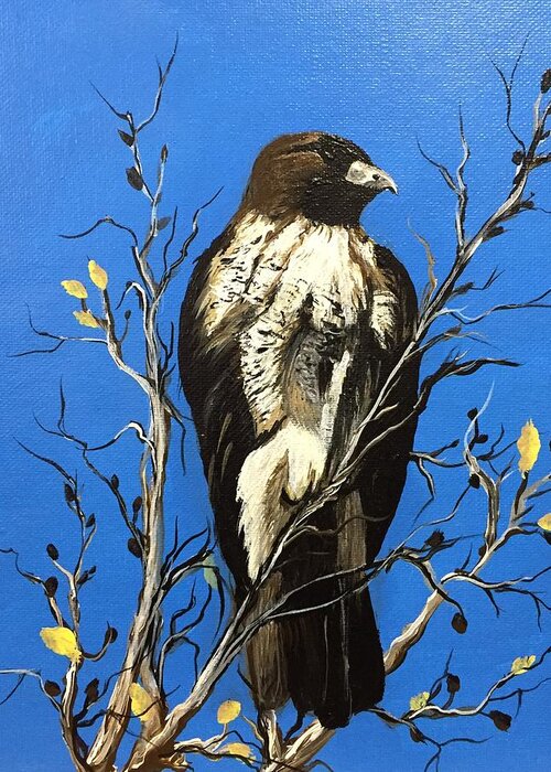 Hawk Greeting Card featuring the painting Watchful eye of the Raptor by Sharon Duguay