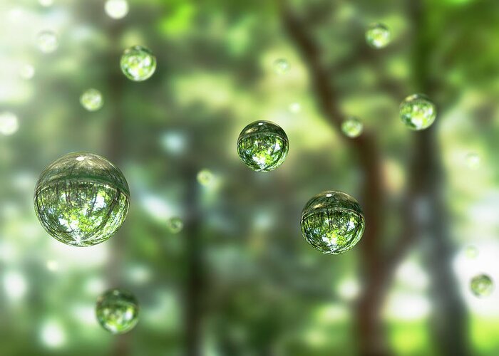 Tranquility Greeting Card featuring the photograph Water Drops In The Forest by Hiroshi Watanabe