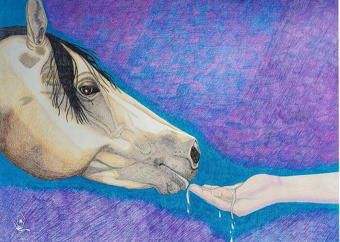 Buckskin Horse Greeting Card featuring the drawing Water for My Friend by Equus Artisan