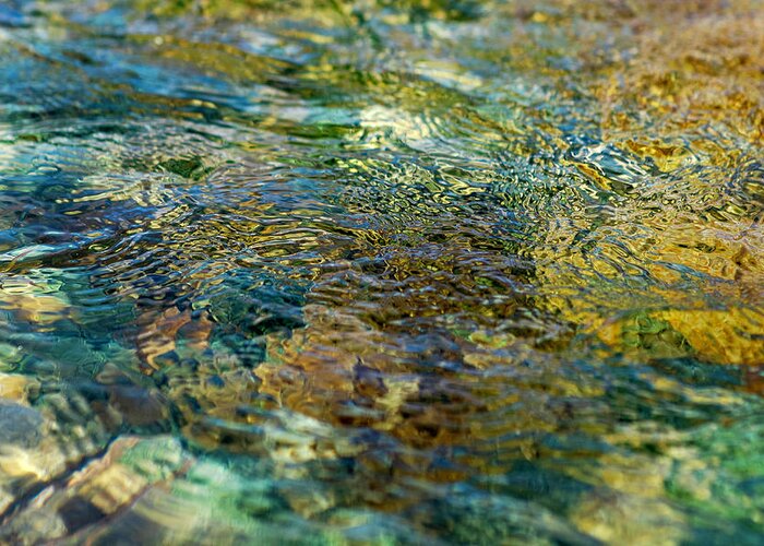 Nature Greeting Card featuring the photograph Water by Jean Gill