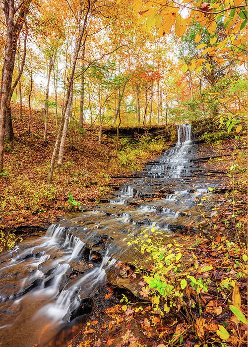Fall Hollow Greeting Card featuring the photograph Waterfalls Of Fall by Jordan Hill