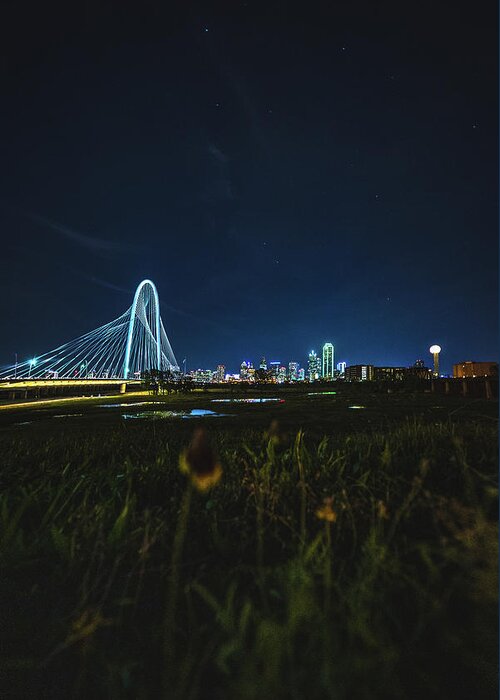 West Greeting Card featuring the photograph West Dallas Flower by Peter Hull