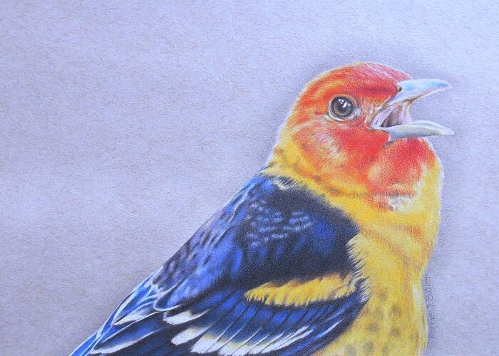 Western Tanager Greeting Card featuring the drawing Western Tanager - Male by Karrie J Butler