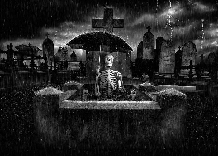Creative Greeting Card featuring the photograph Wet Bones by Daniel Murphy