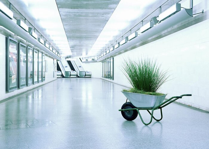 Out Of Context Greeting Card featuring the photograph Wheelbarrow Full Of Grass In Corridor by Kelvin Murray