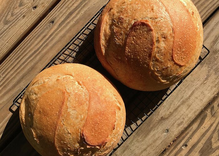 Bread Greeting Card featuring the photograph White and Rye Sourdough S's by Amy E Fraser