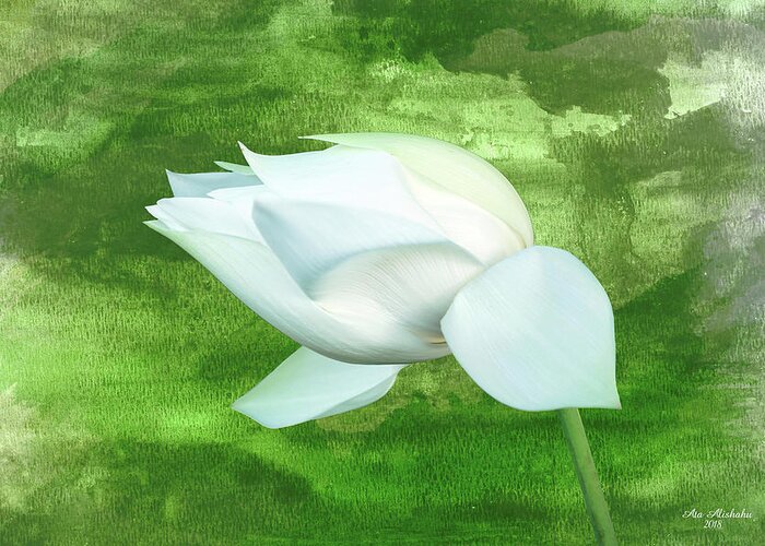 White Lotus Greeting Card featuring the mixed media White Lotus by Ata Alishahi