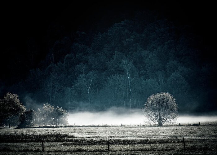 Landscape Greeting Card featuring the photograph White Mist by Philippe Sainte-Laudy