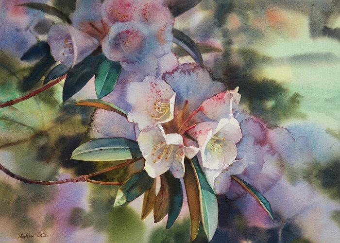 White Rhododendron In Dapped Light Greeting Card featuring the White Rhododendron In Dapped Light by Svetlana Orinko