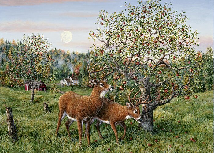 2 Deer (bucks) Feeding In An Apple Orchard
Autumn Greeting Card featuring the painting Whitetails Under The Apple Tree by Jeff Tift