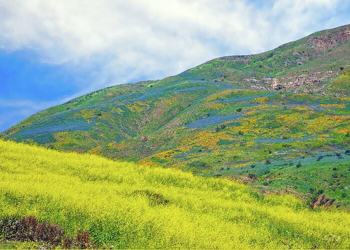 Superbloom Greeting Card featuring the photograph Wildflower Hills of Malibu - Superbloom 2019 by Lynn Bauer