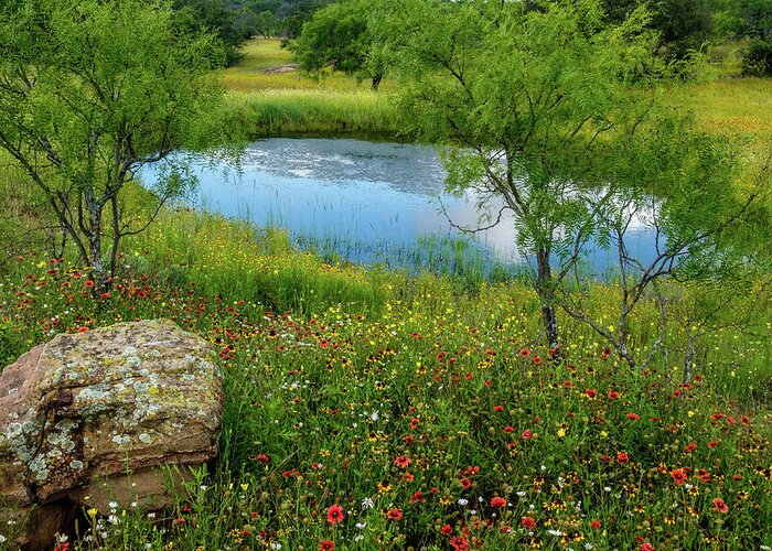 Texas Wildflowers Greeting Card featuring the photograph Wildflower Pond by Johnny Boyd