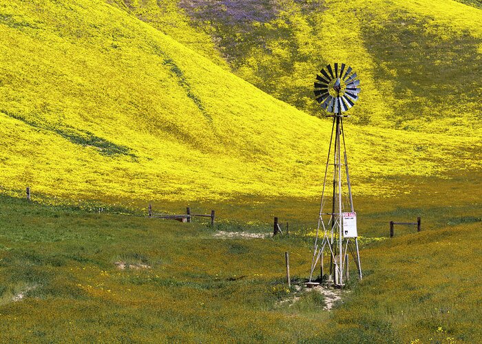 Carrizo Greeting Card featuring the photograph Wildflowers and Ranch Land by Rick Pisio