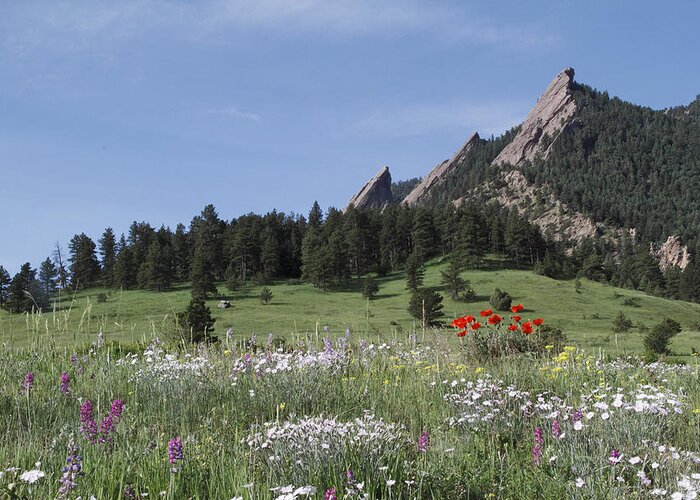 Tranquility Greeting Card featuring the photograph Wildflowers And The Flatirons by John Kieffer