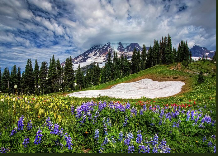 Tranquility Greeting Card featuring the photograph Wildflowers On Mazama Ridge by Photo By David R Irons Jr