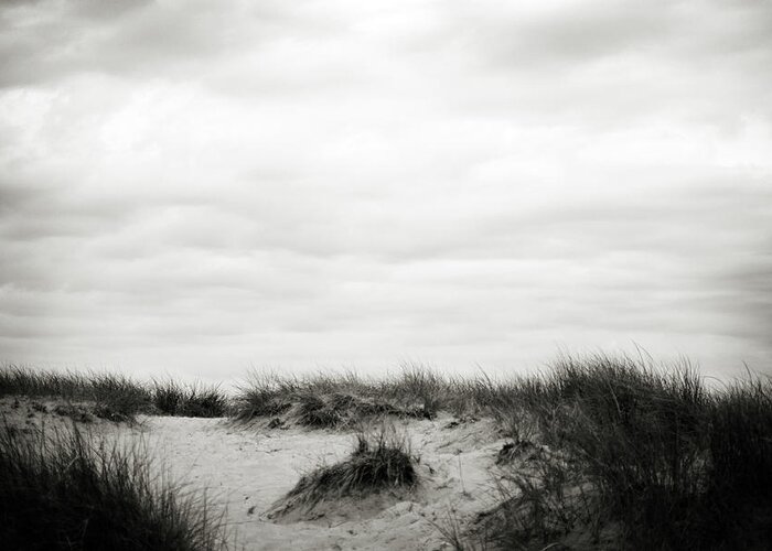 Sand Dunes Greeting Card featuring the photograph Windblown by Michelle Wermuth