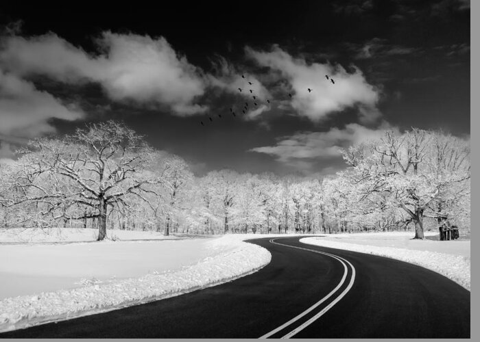 Landscape Greeting Card featuring the photograph Winding Road by Kevin Wang
