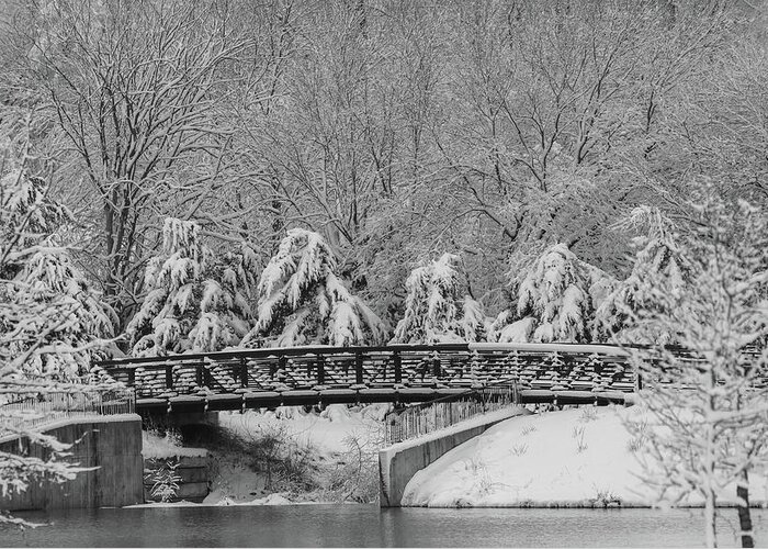 Winter Greeting Card featuring the photograph Winter Crossing by Mary Anne Delgado