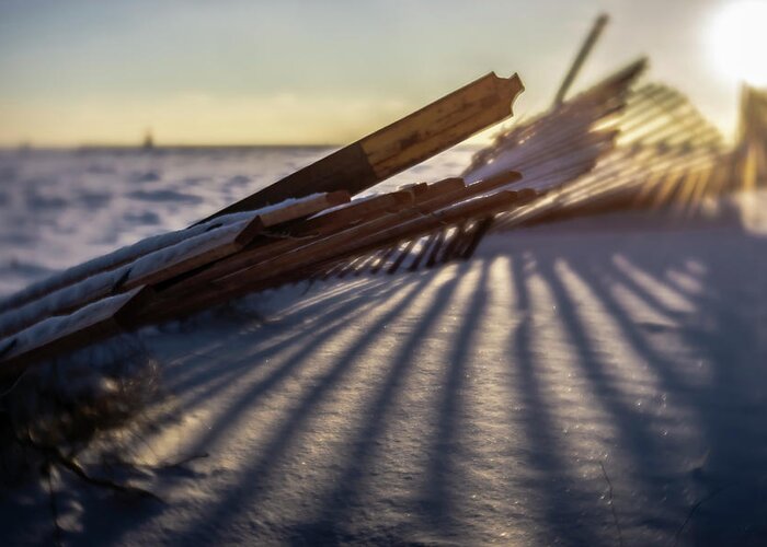 Winter Greeting Card featuring the photograph Winter dunes fence at sunrise by Sven Brogren